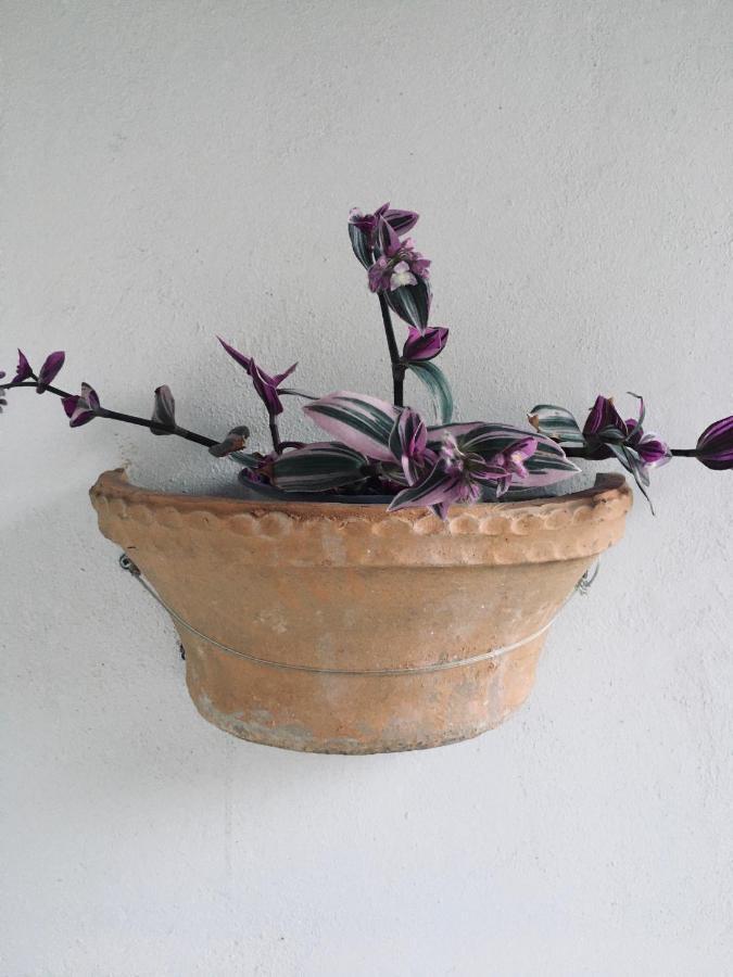 Апартаменты Wabi Sabi Katastarion Экстерьер фото
