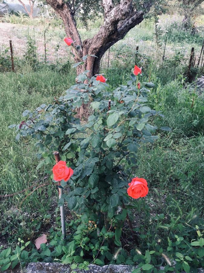 Апартаменты Wabi Sabi Katastarion Экстерьер фото